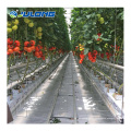 Sistema de cultivo de soiless de invernadero agrícola en venta